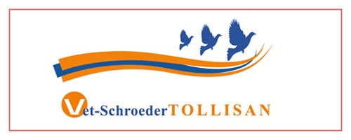 Tollison