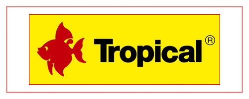 Tropical