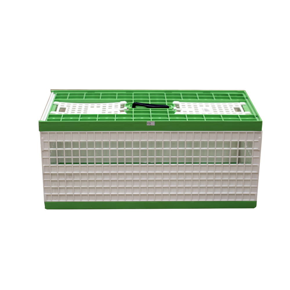 Plastic Training Baskets سلّات تدريب بلاستيك جودة ممتازة أخضر