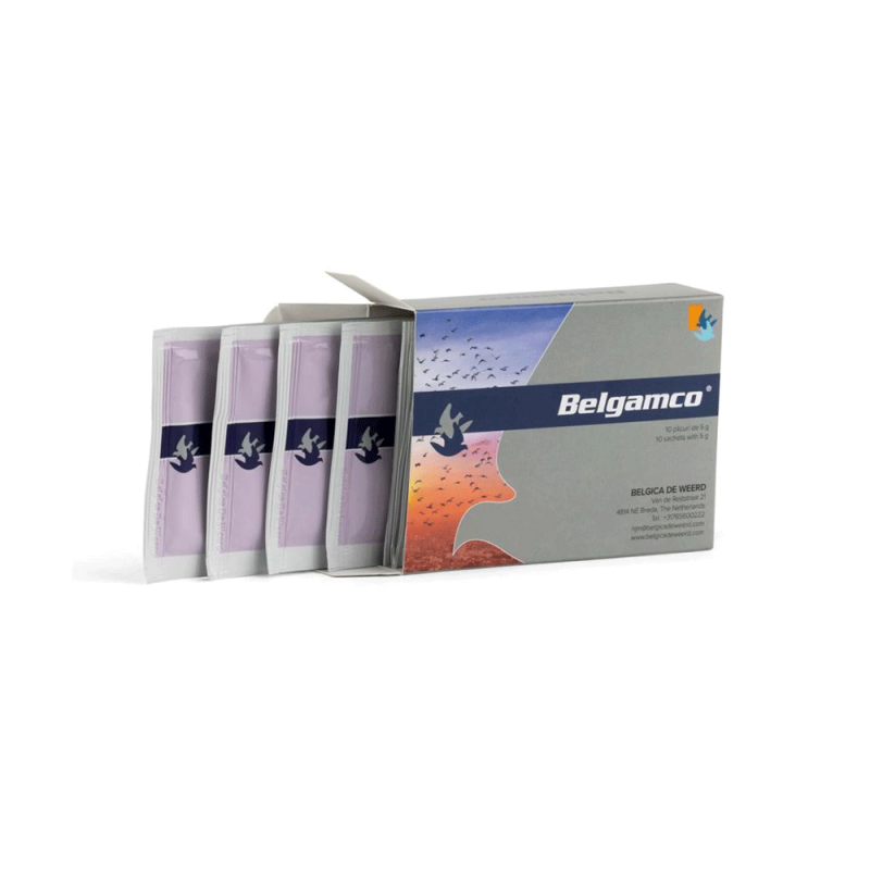Belgamco 10 sachets with 5g  بلغامكو أكياس