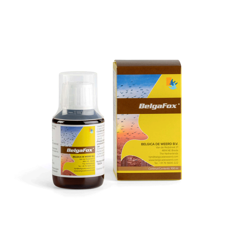 Belgafox  لعلاج الالتهابات البكتيرية المعوية