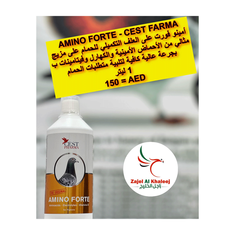 Amino forte cest pharma