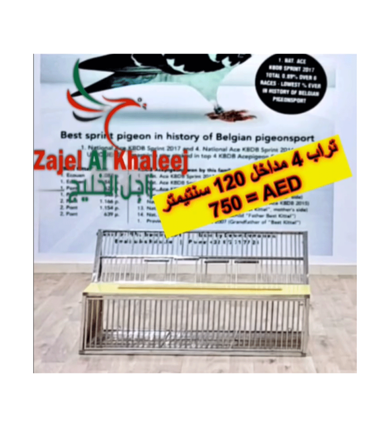 Trap 4 Entrances  تراب 4 مداخل