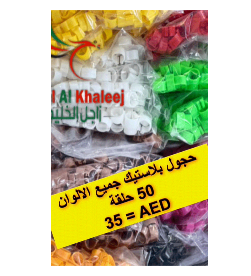 Plastic Rings  حجول بلاستيك جميع الالوان