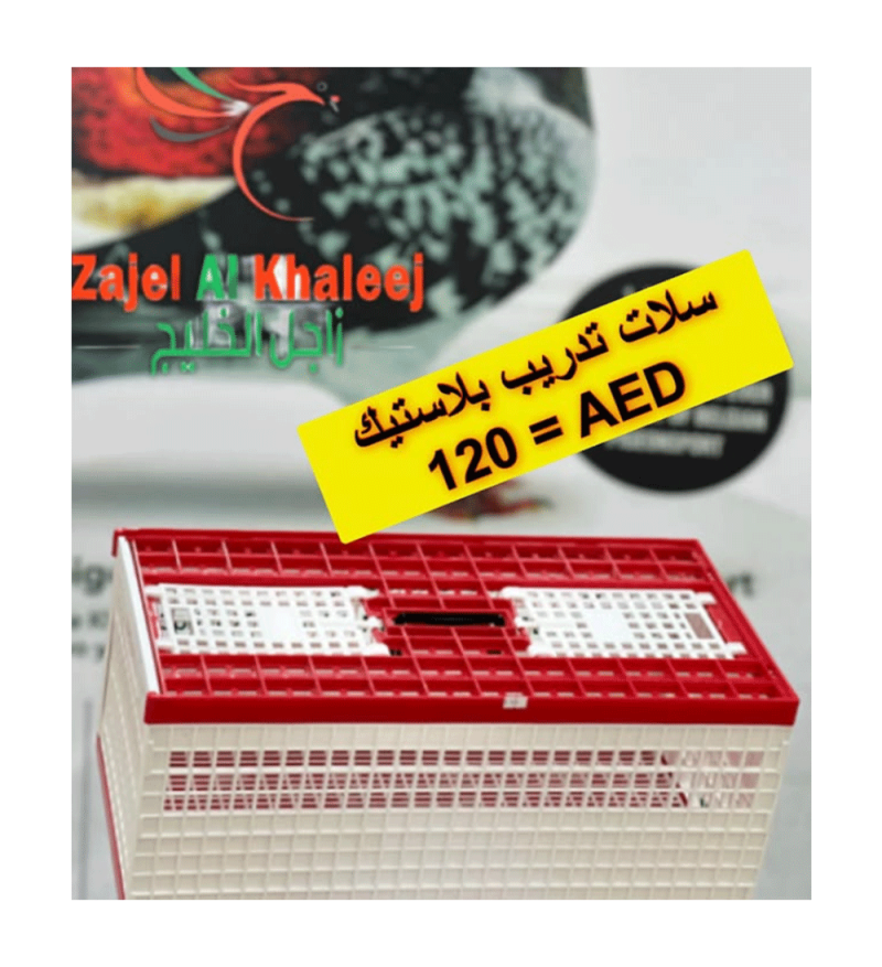 Plastic Training Baskets   سلّات تدريب بلاستيك جودة ممتازة