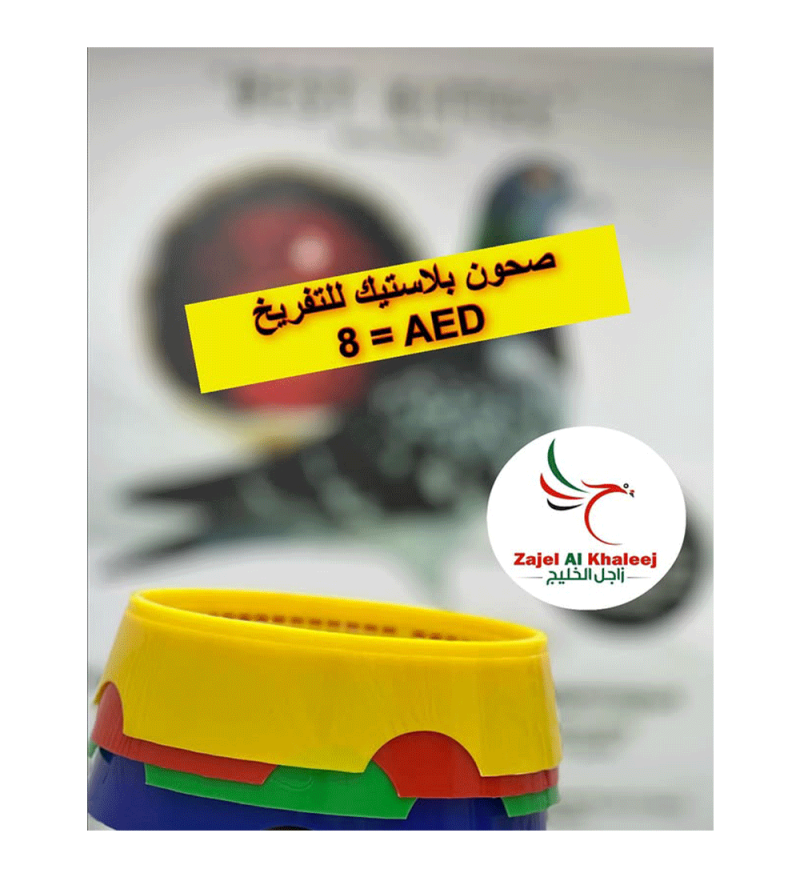 Plastic Hatching Trays صحون تفريخ بلاستيكية ممتازة
