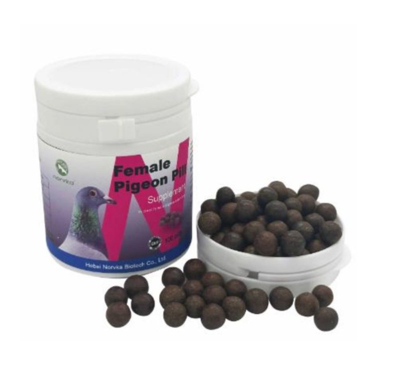 Female Pigeon Pill   حبوب الأناثي لأنتاج البيض