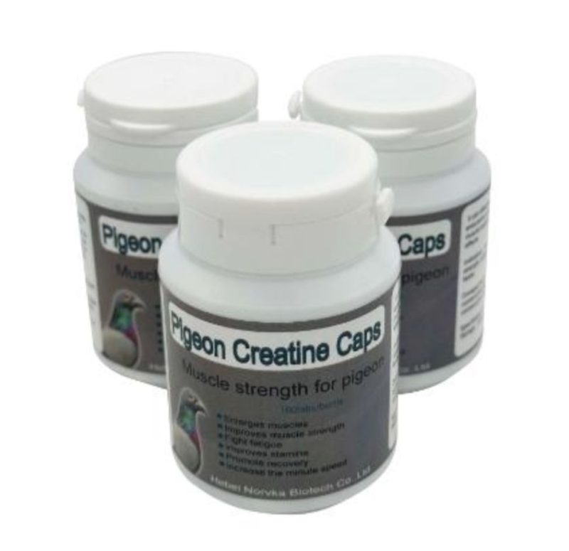 Pigeon Creatine Caps  كرياتين لتقوية العضلات