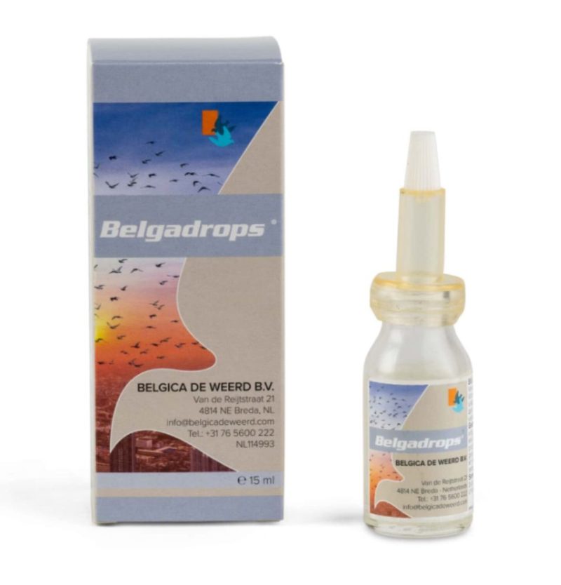 Belga Drops   تطهير الأغشية المخاطية للعين والقناة الدمعية والأنف