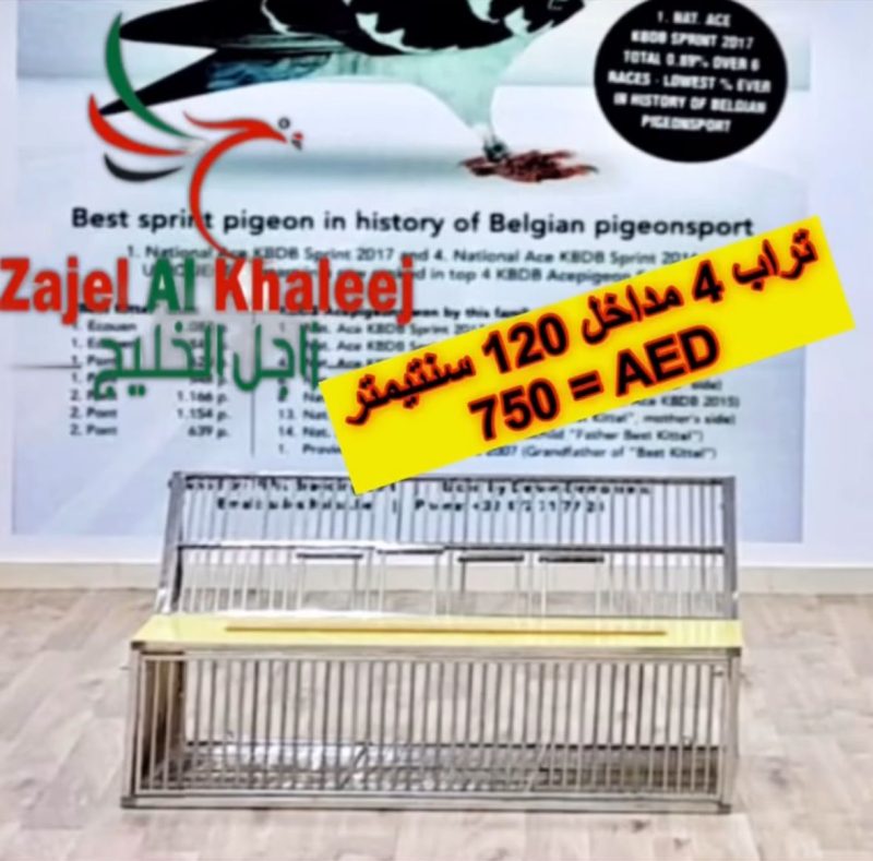 تراب 4 مداخل 120 سنتيم