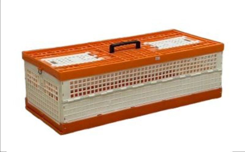 Plastic Training Orange Basket  سلات تدريب بلاستيك