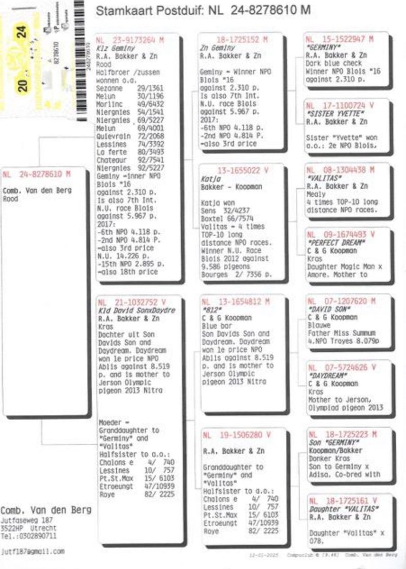 NL 24-8278610 V  Comb. Van den Berg - Image 3