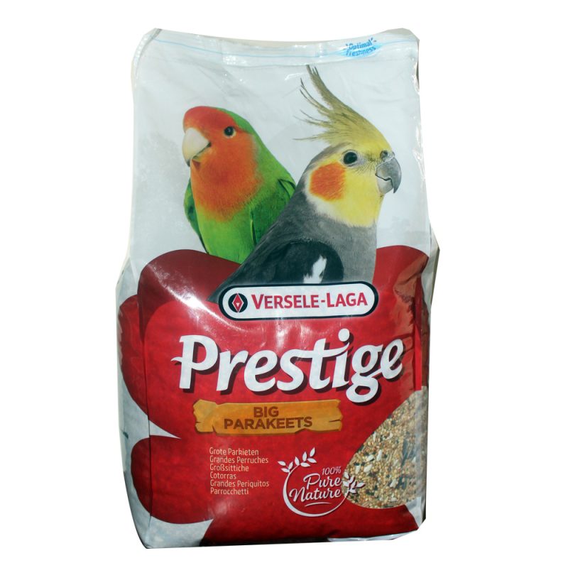 Big Parakeets 4kg ببغاوات كبيرة 4 كجم