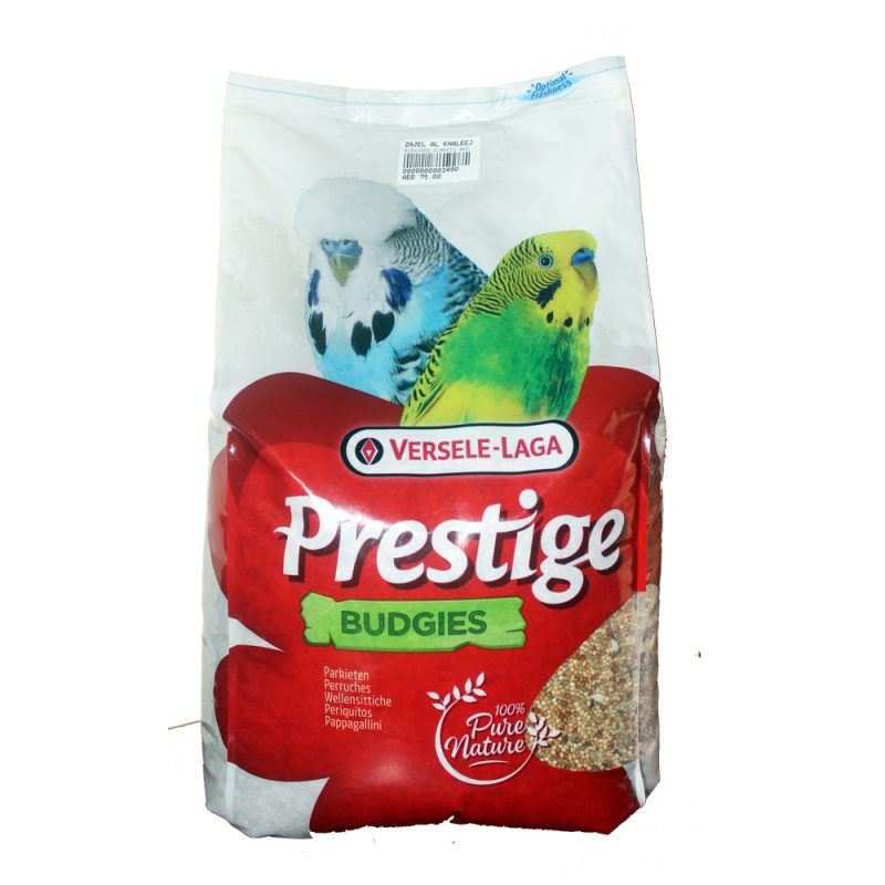 BUDGIES CLASSIC 4KG ببغاوات بادجيز كلاسيك 4 كجم